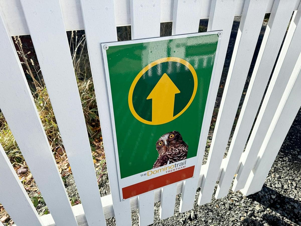 Domino Trail