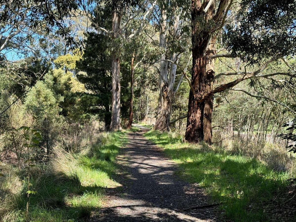 Domino Trail