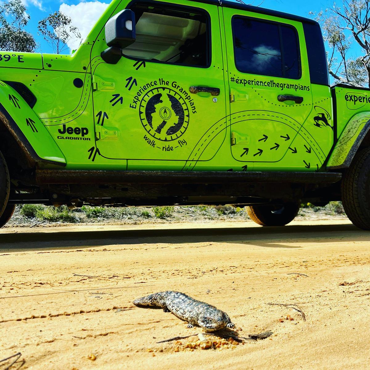 Experience the Grampians
