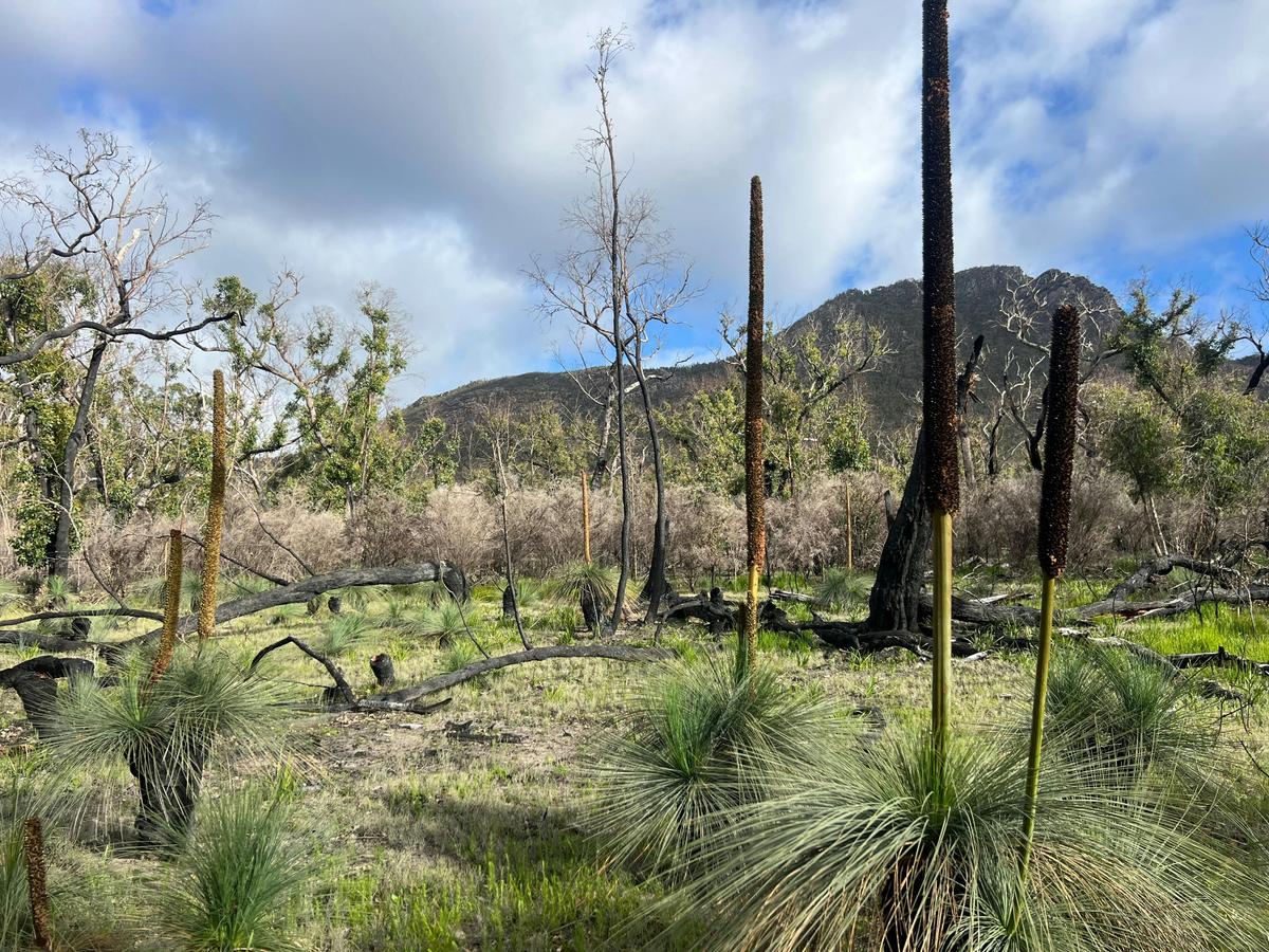 Grampians National Parks tours