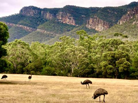 Halls Gap