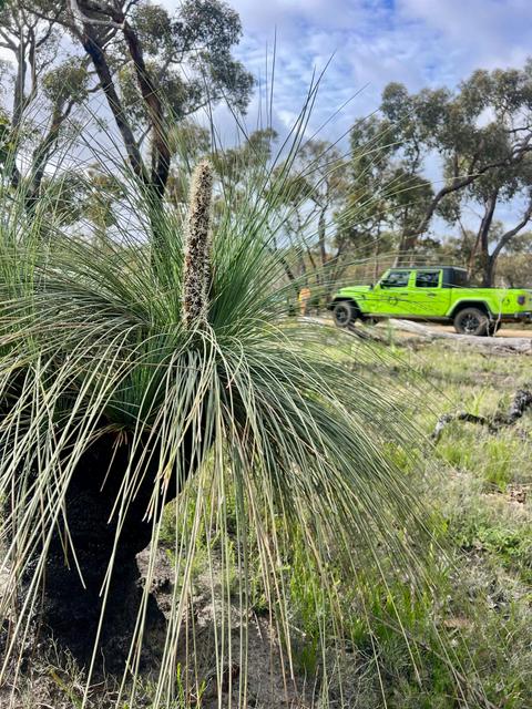 Experience the Grampians