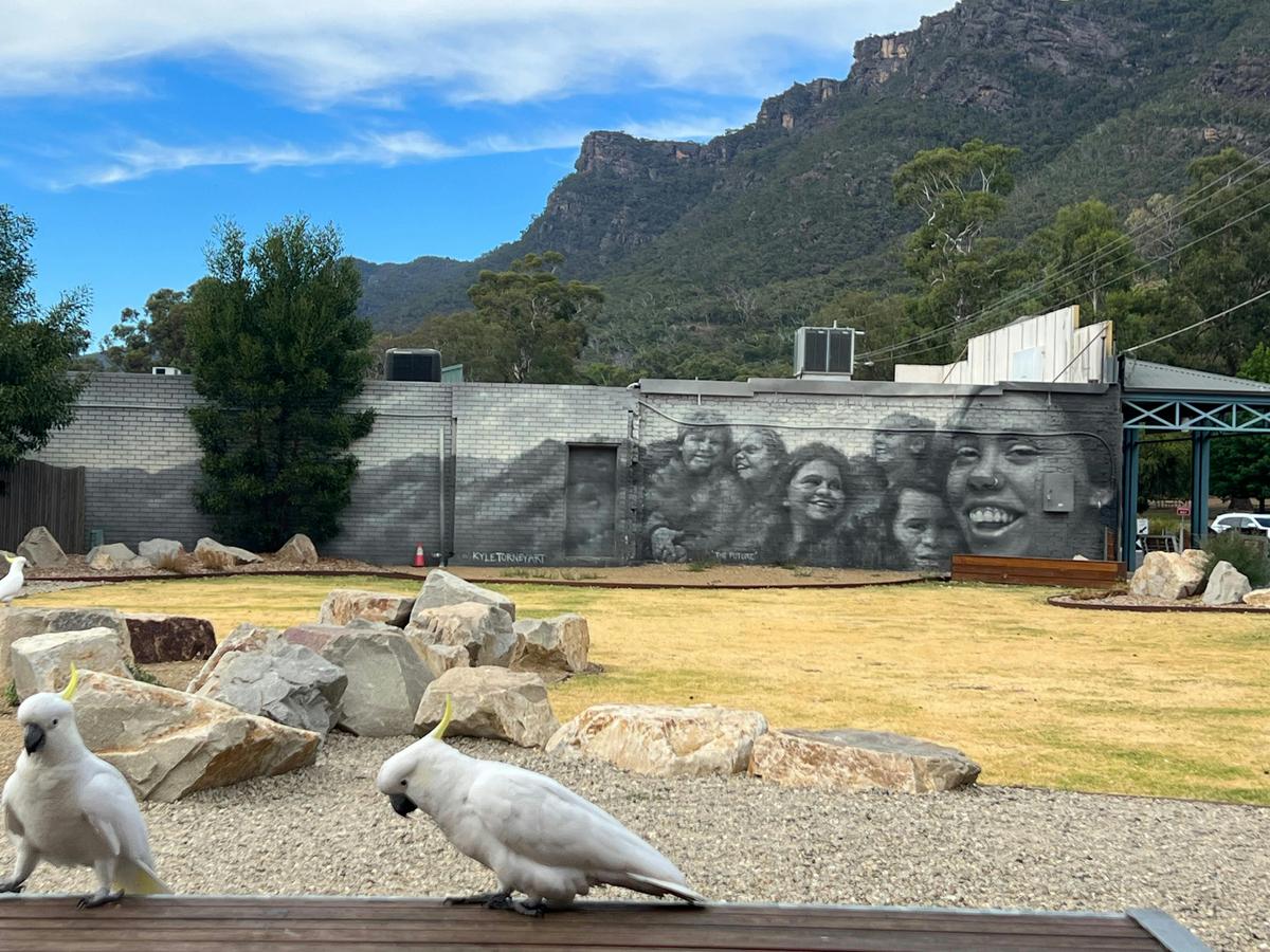 Grampians Highlights Tours