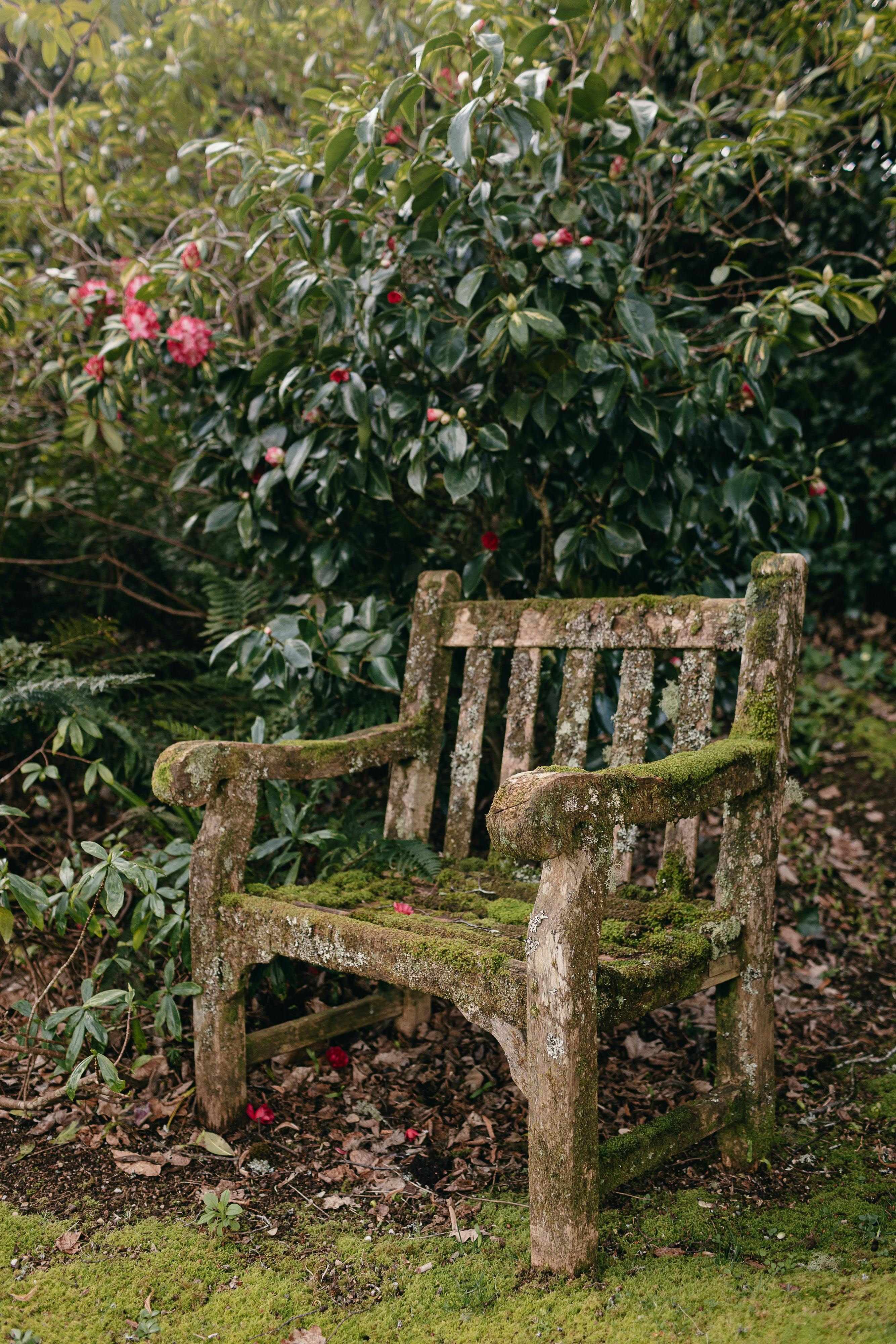 Garden Chair at Duneira