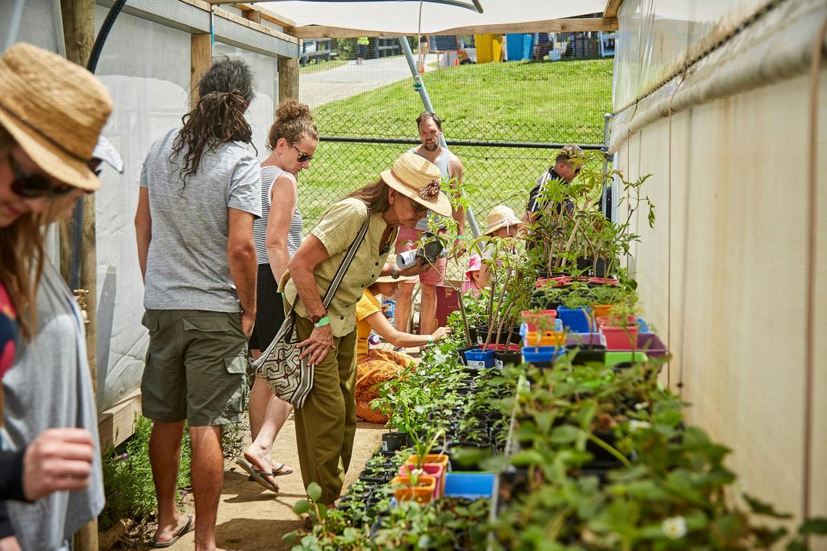 The Edible Forest Nursery