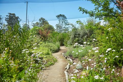 Edible Forest Yarra Valley