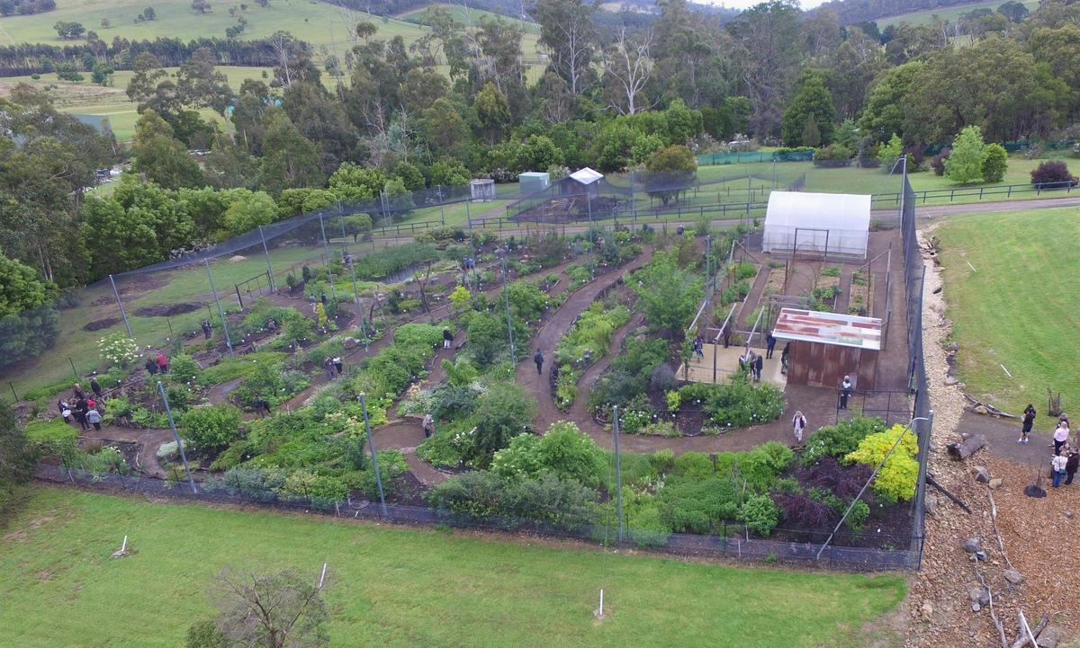 The Edible Forest from above