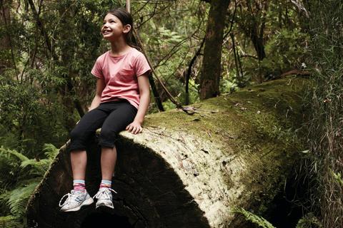 Dandenong Ranges National Park