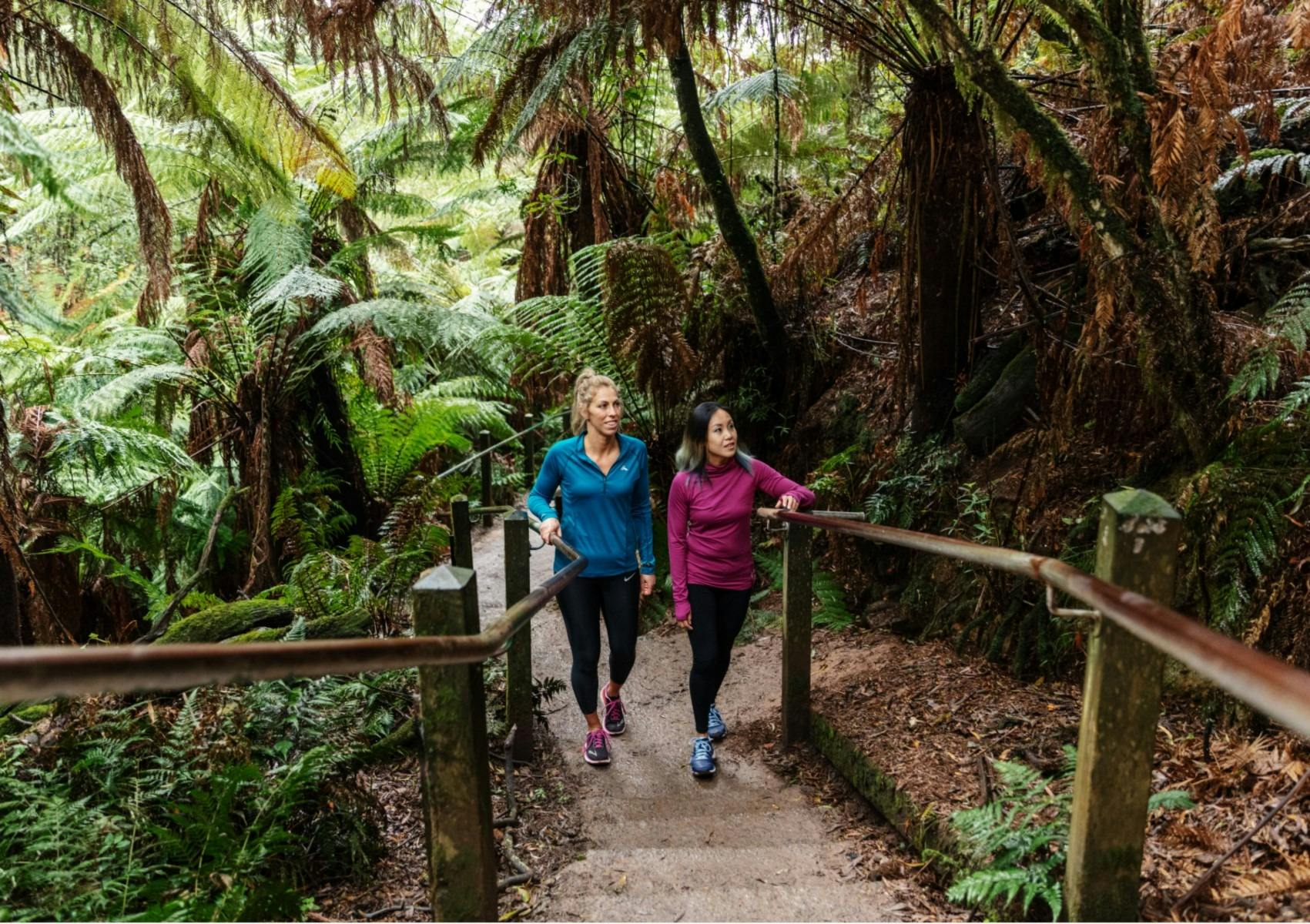 1000 Steps Dandenong Ranges National Parkk