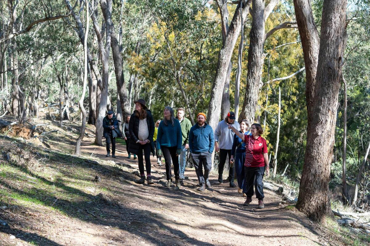 Nyerna Djayi Wurreka, Argyle Spring Walking tour