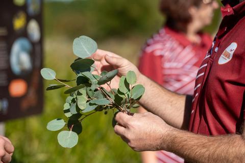 Dumawul tour guide holding native fauna