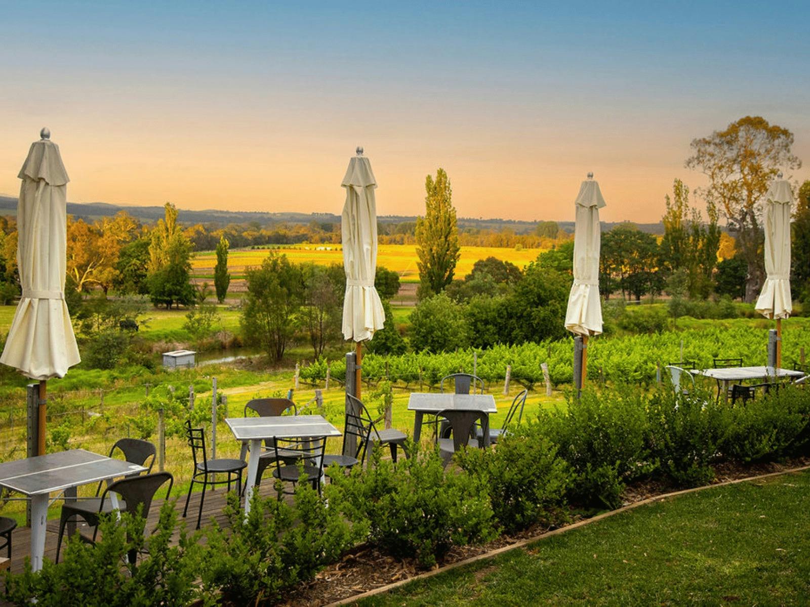 Evening sunset at Glenmaggie Wines