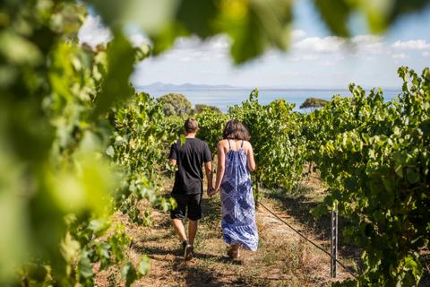 Around the Bay Food and Wine Trail