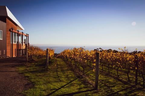 Jack Rabbit Winery