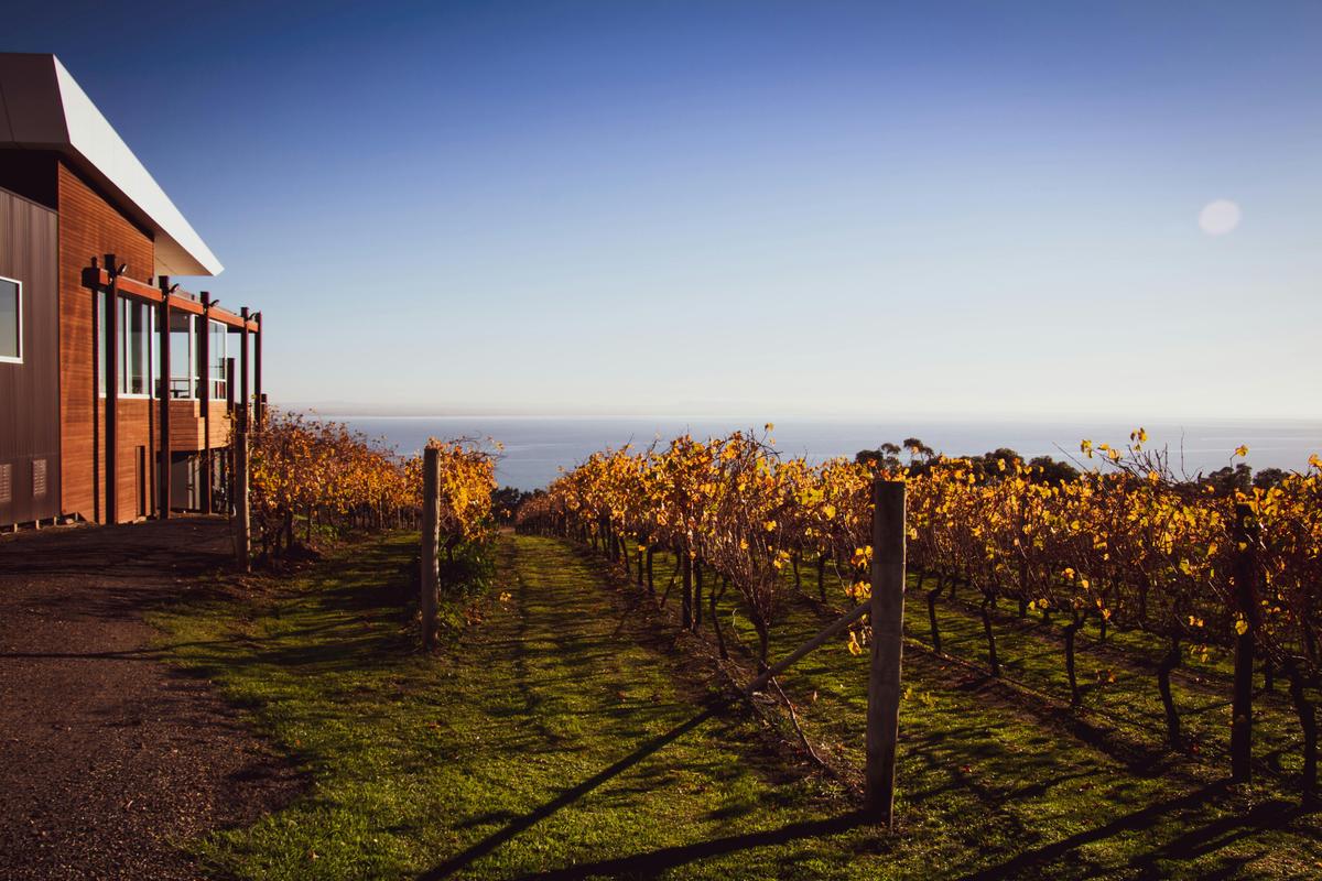 Jack Rabbit Winery