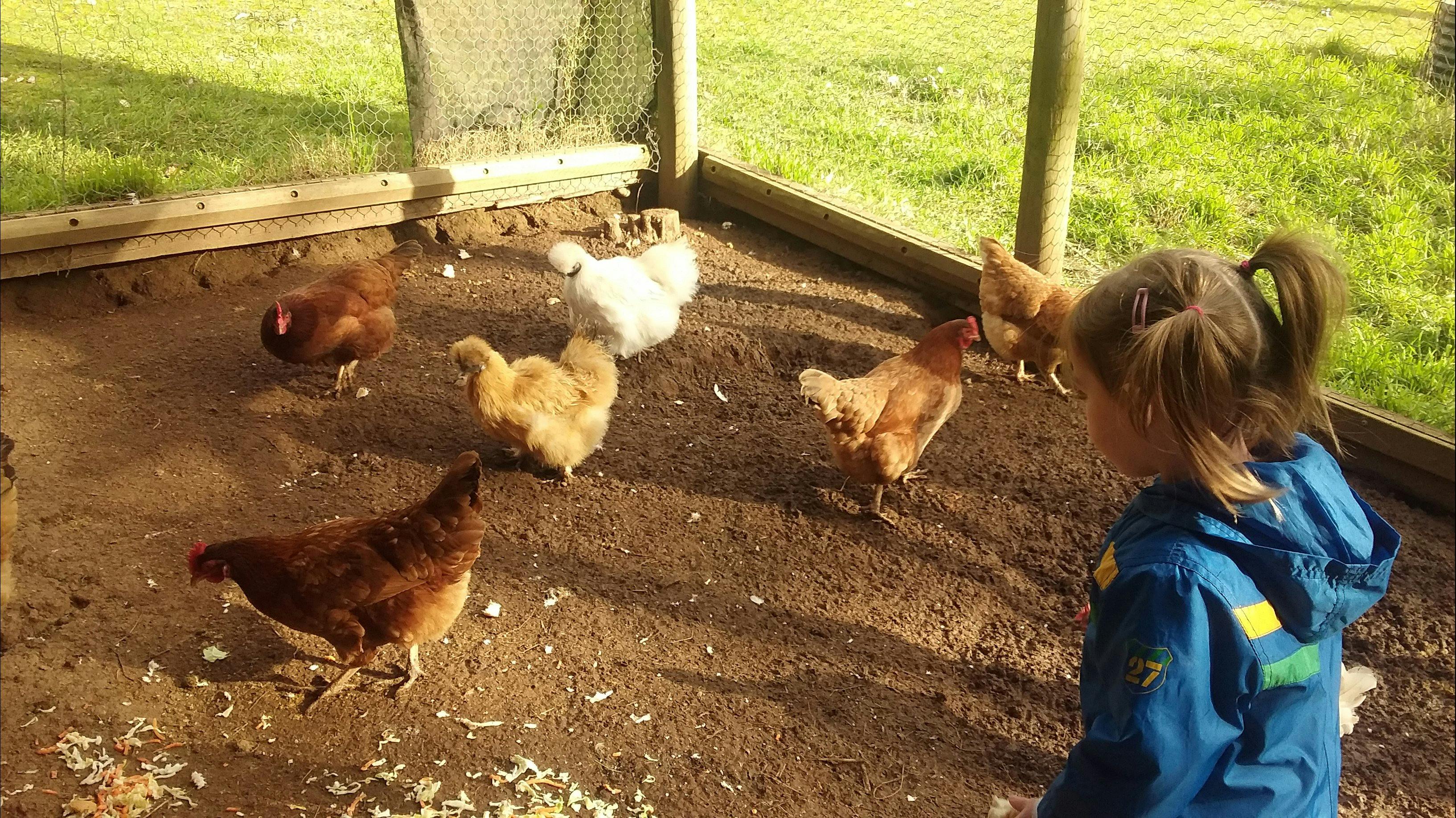 Emerald Park Holiday Farm