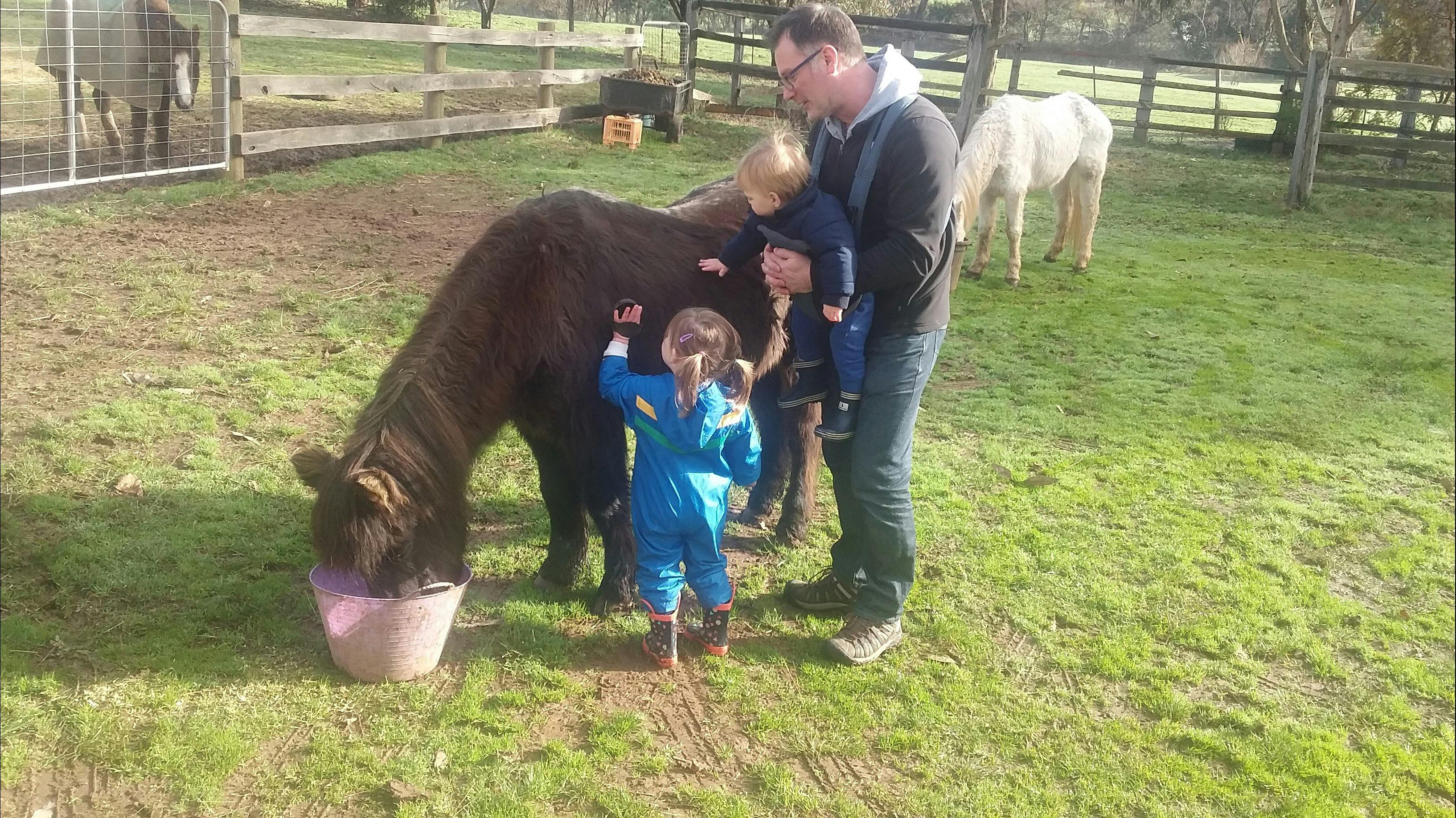 Emerald Park Holiday Farm