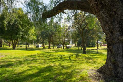 Eldorado Caravan Park Tiny Home