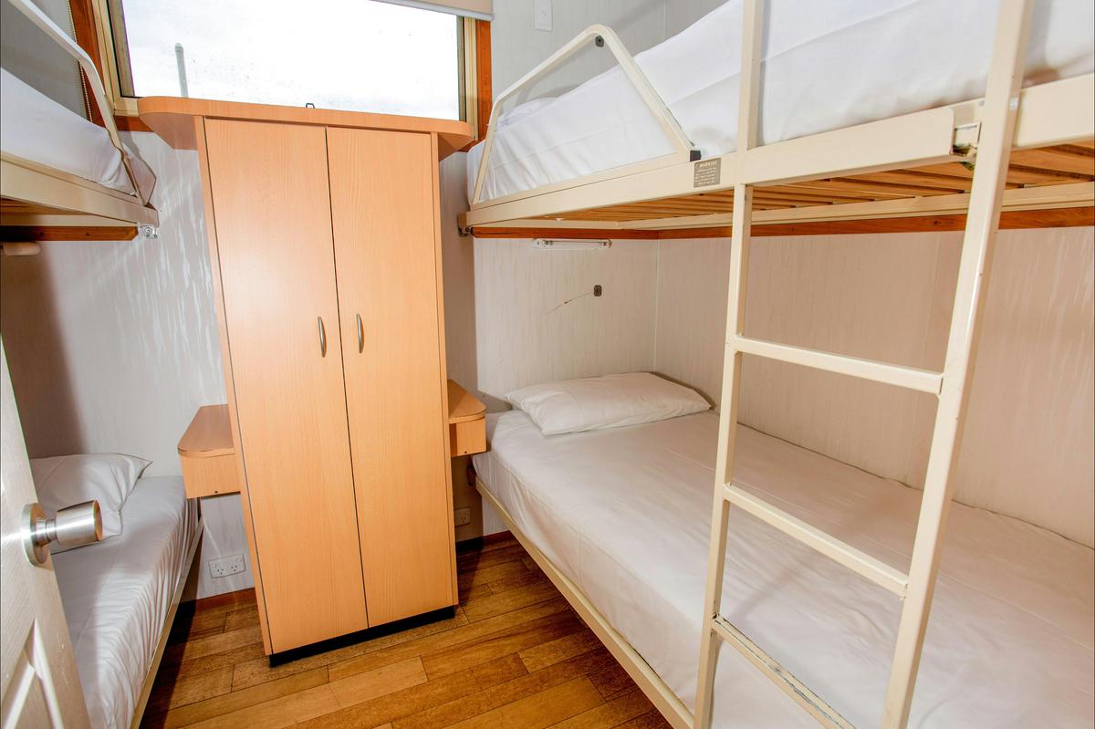Discovery Parks - Geelong - Superior Family Cabin