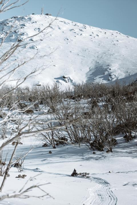 This Sled Will Take You To The Top