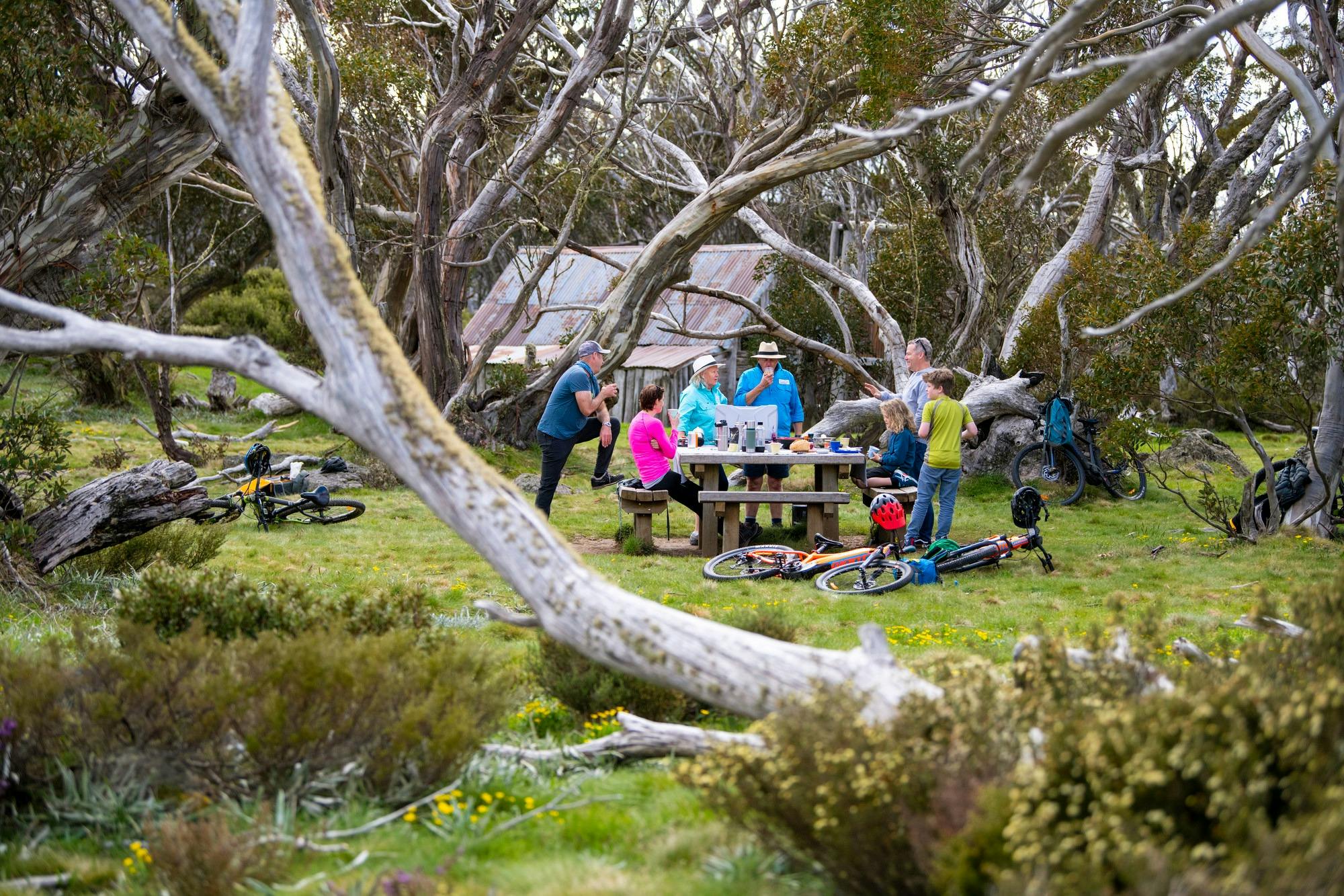 A family enjoying a picnic lunch amongst the snow gums at Falls Creek