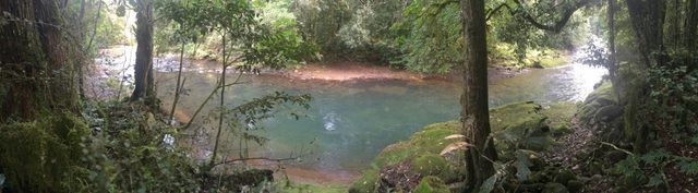 Allyn River, Chichester State Forest