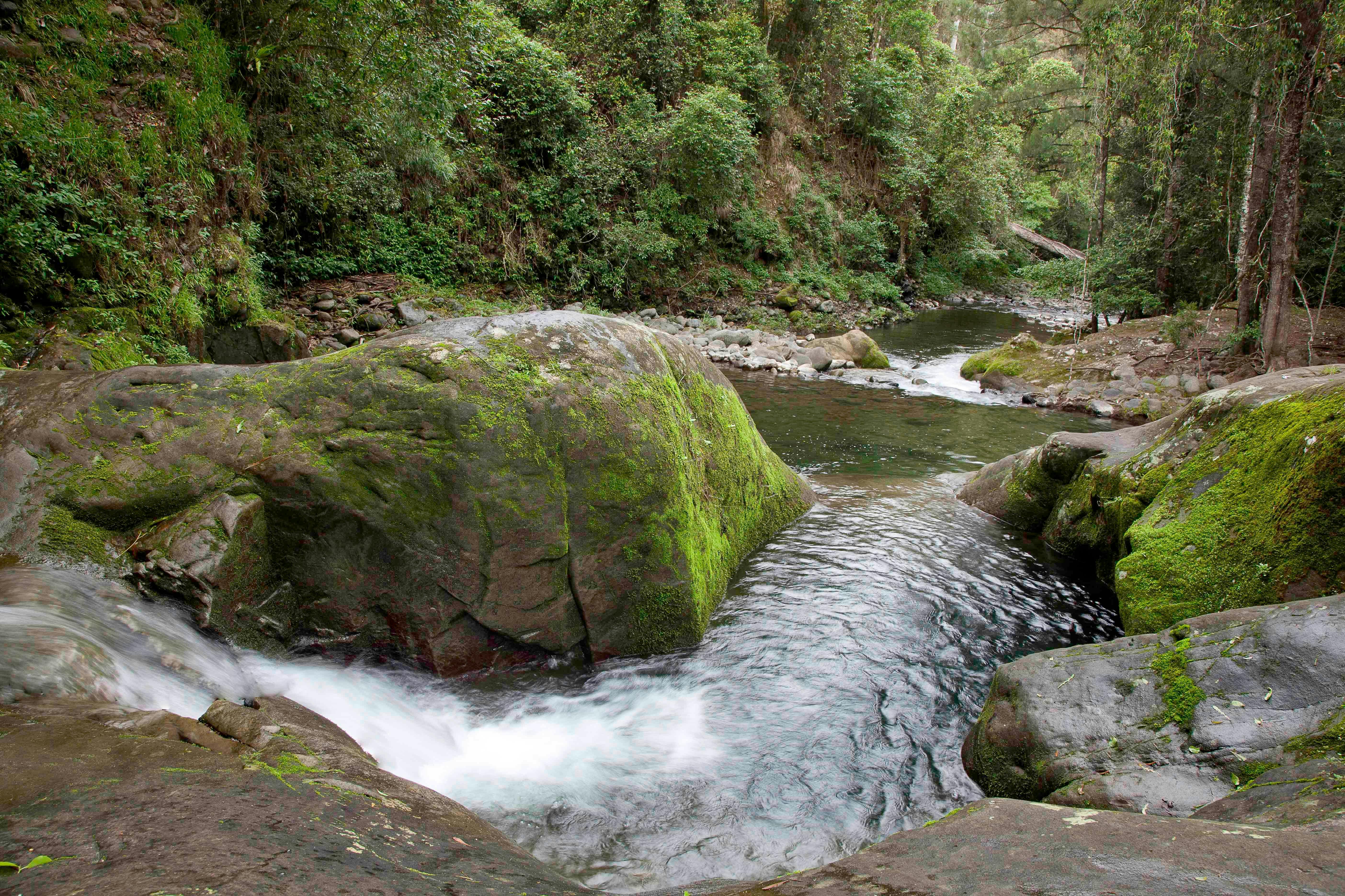Beautiful Allyn River