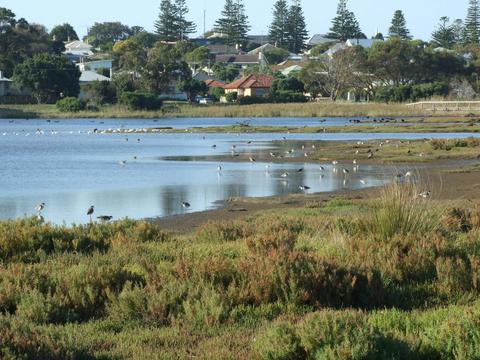 Fawthrop Lagoon