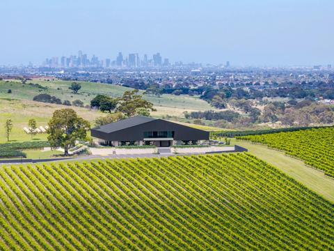 FIVE Vineyard