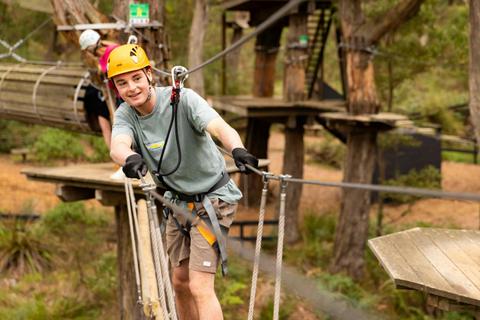 Enchanted Adventure: the Home of Tree Surfing