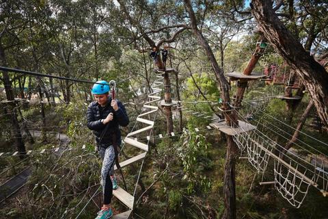 Enchanted Adventure: the Home of Tree Surfing