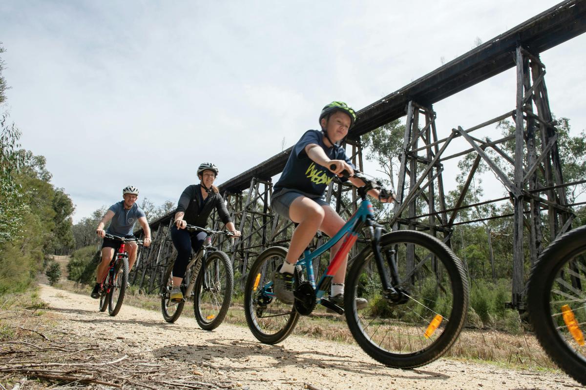 Kids on bikes