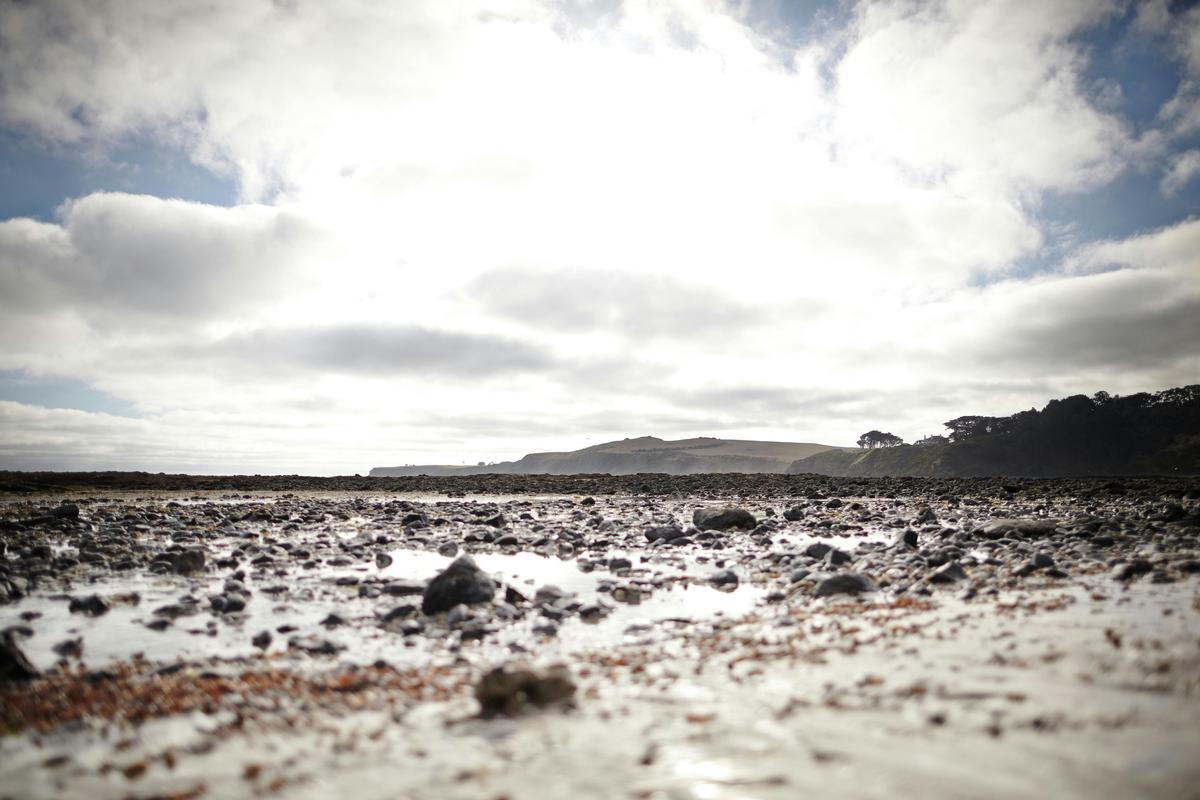 Flinders