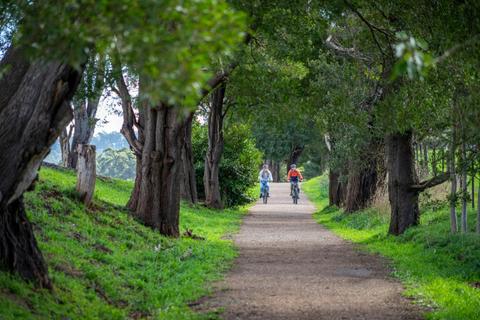 Eastern Dandenong Ranges Trail
