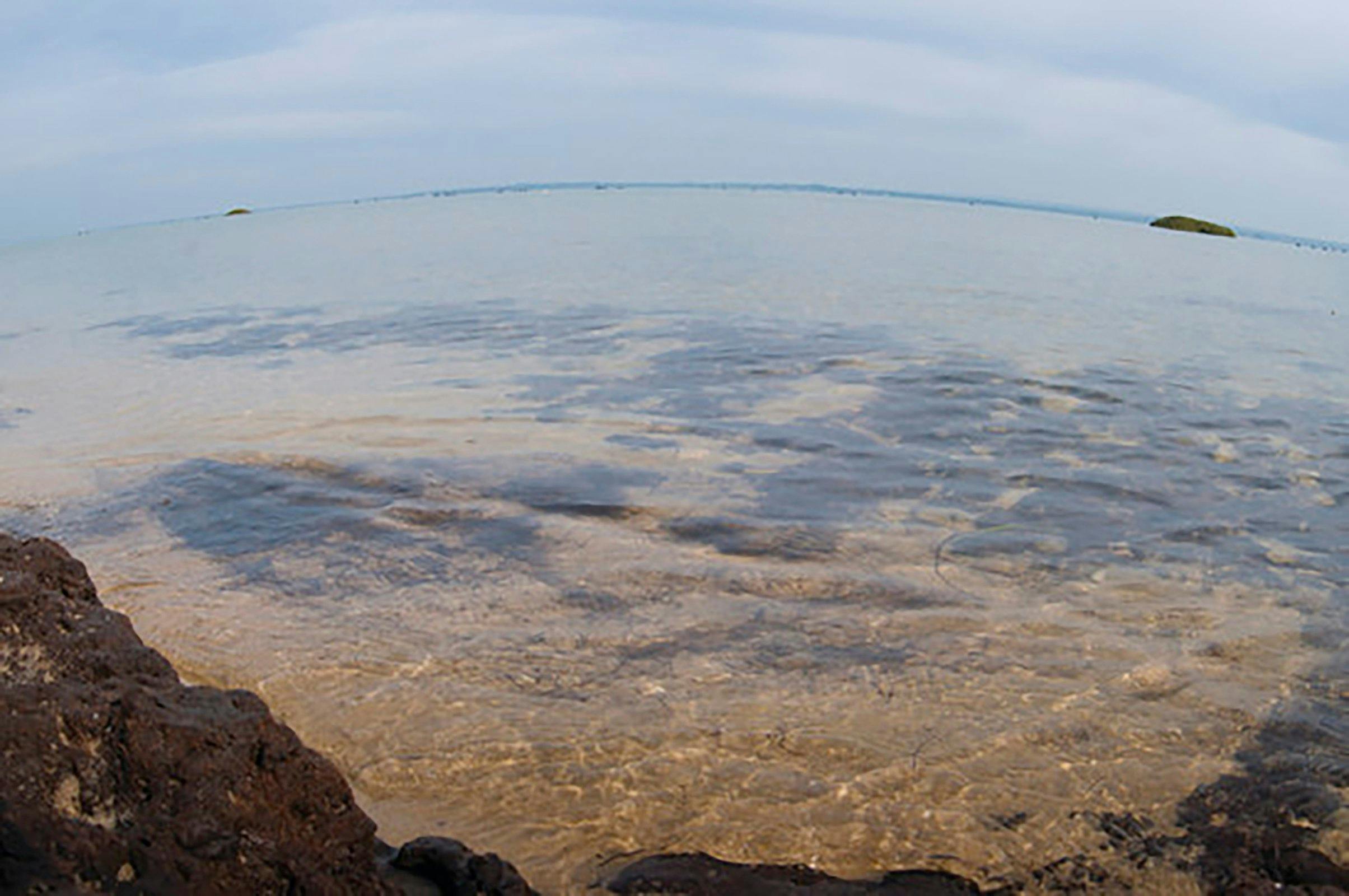 French Island Marine National Park