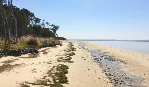 French Island Marine National Park