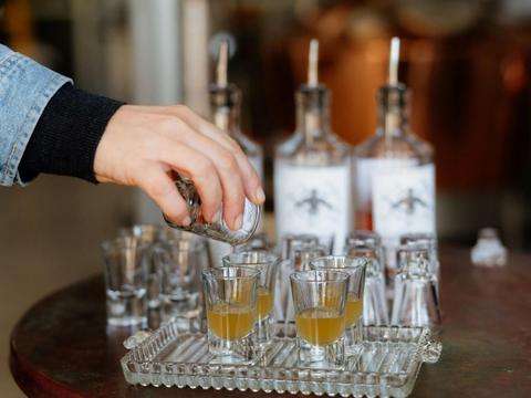 Gin Tasting