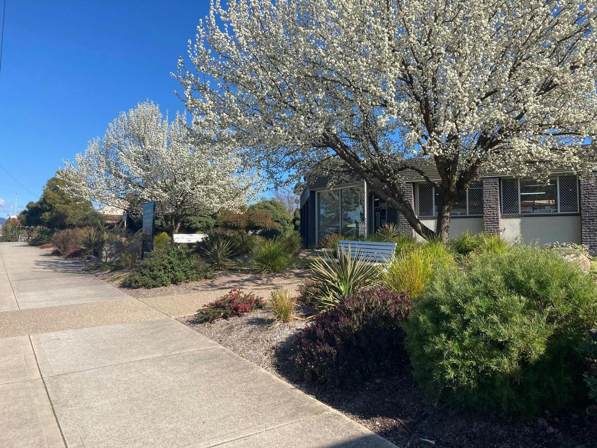 Corryong Library
