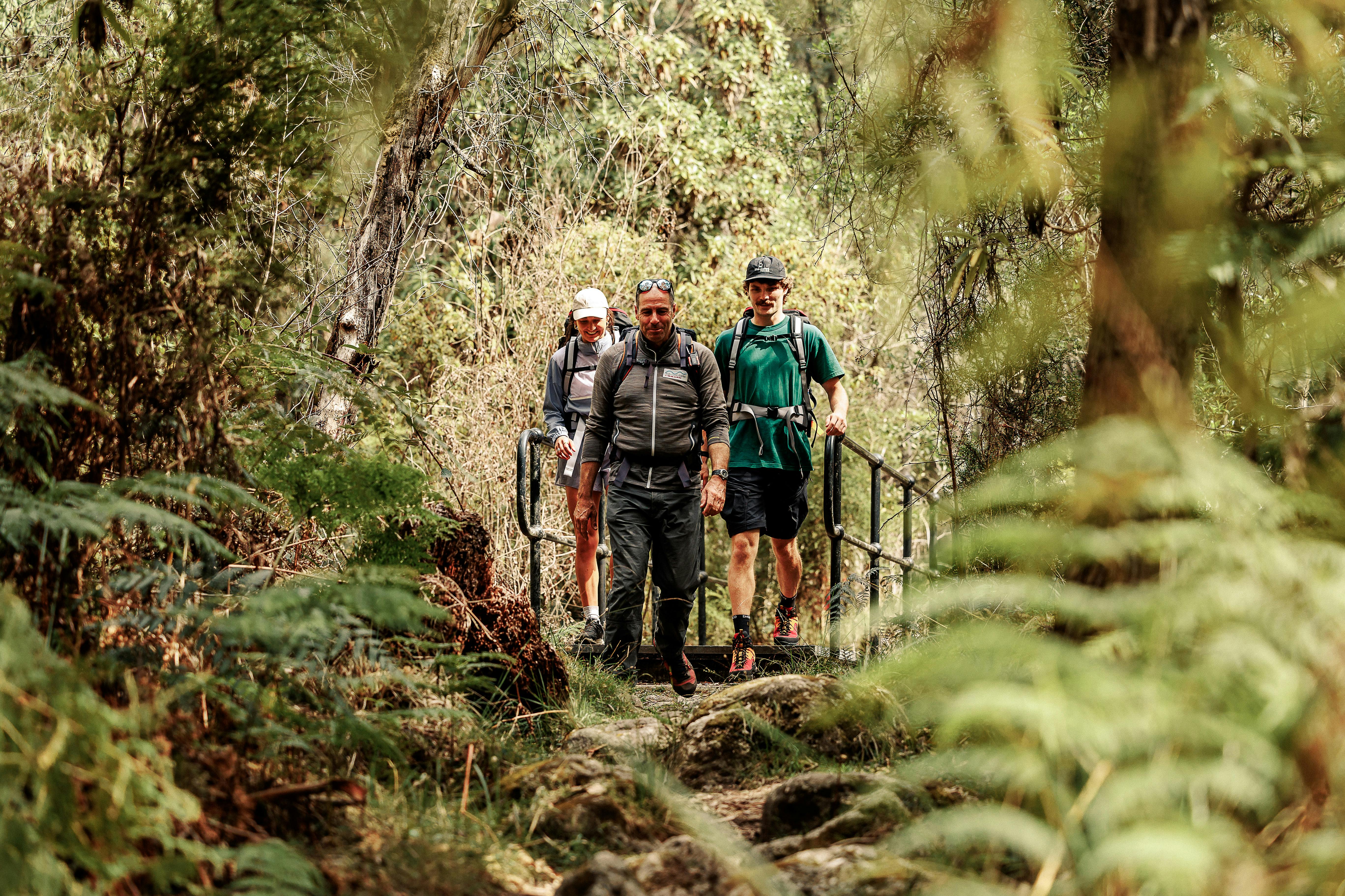 three people hiking amongst trees