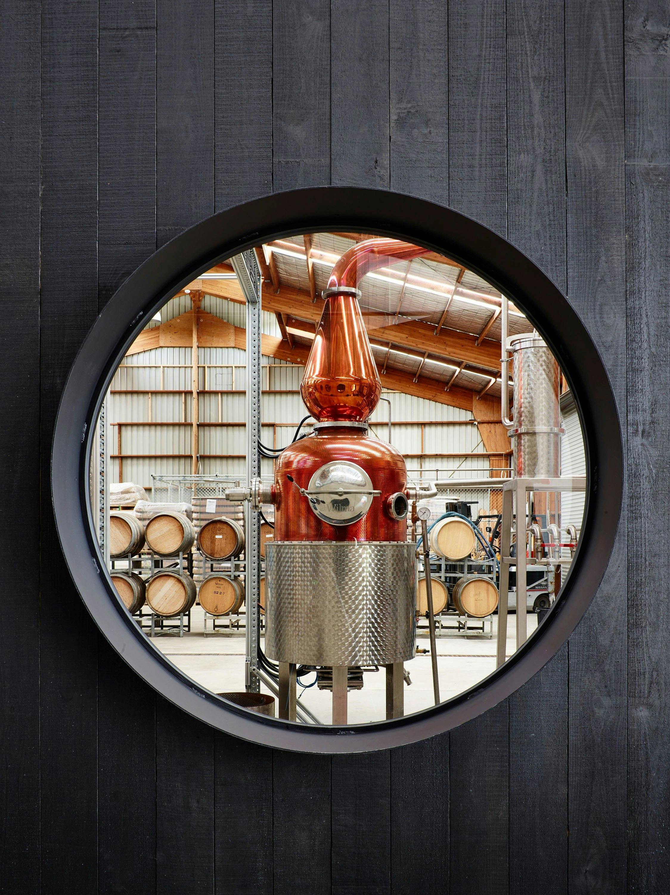 Wilma, the original Still