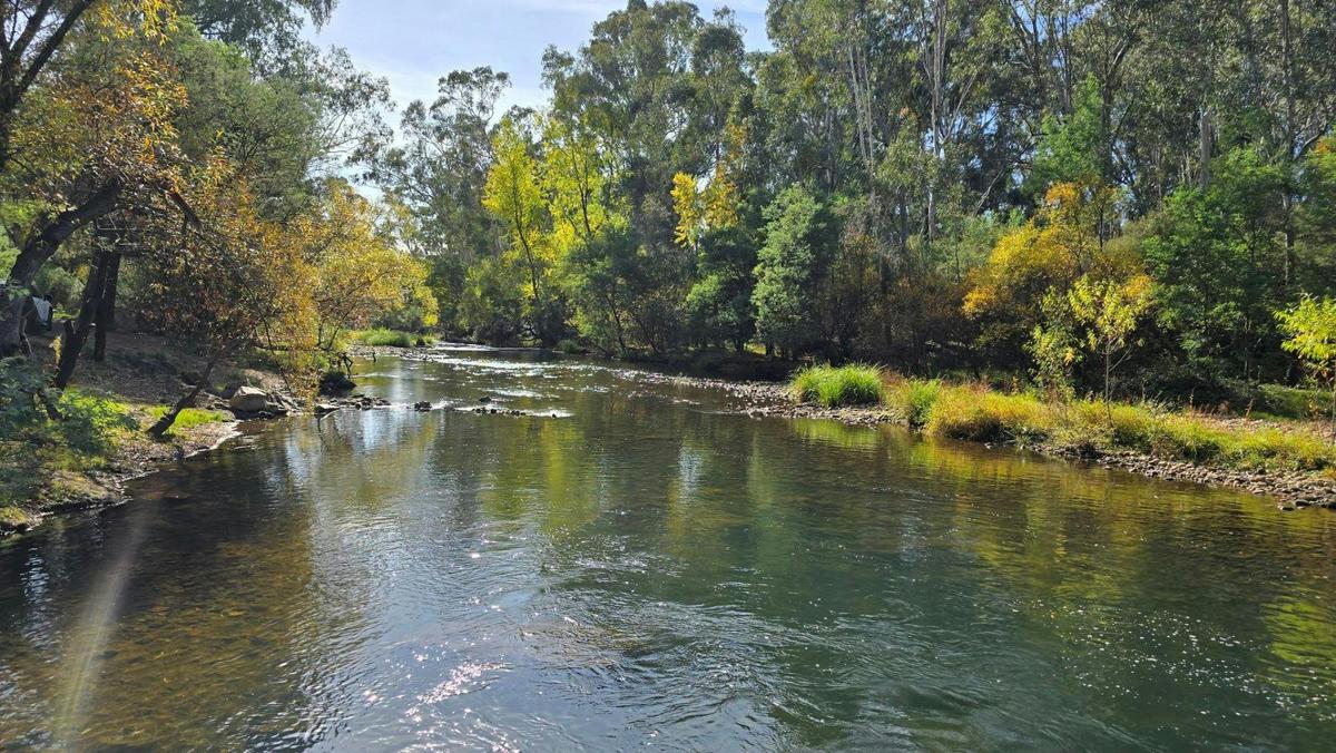 King River at Edi Cutting reserve