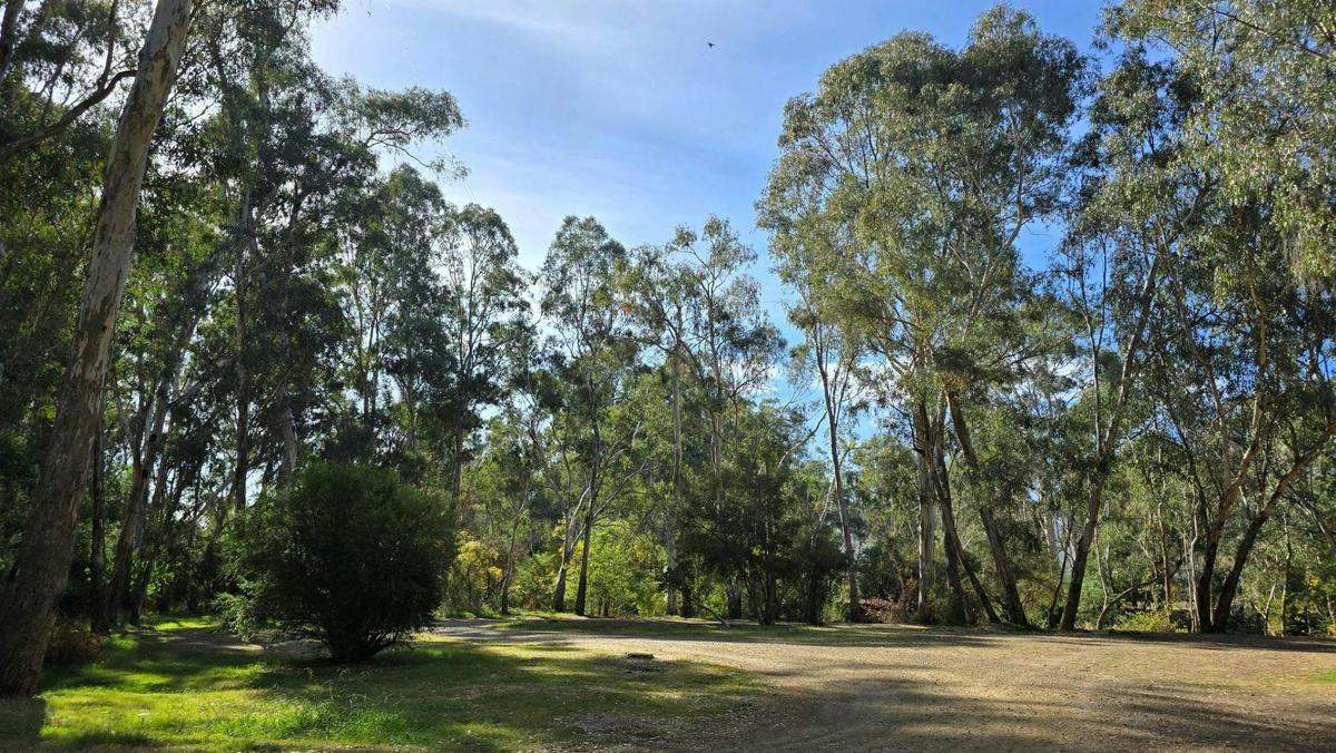 Edi Cutting Reserve Campgrounds