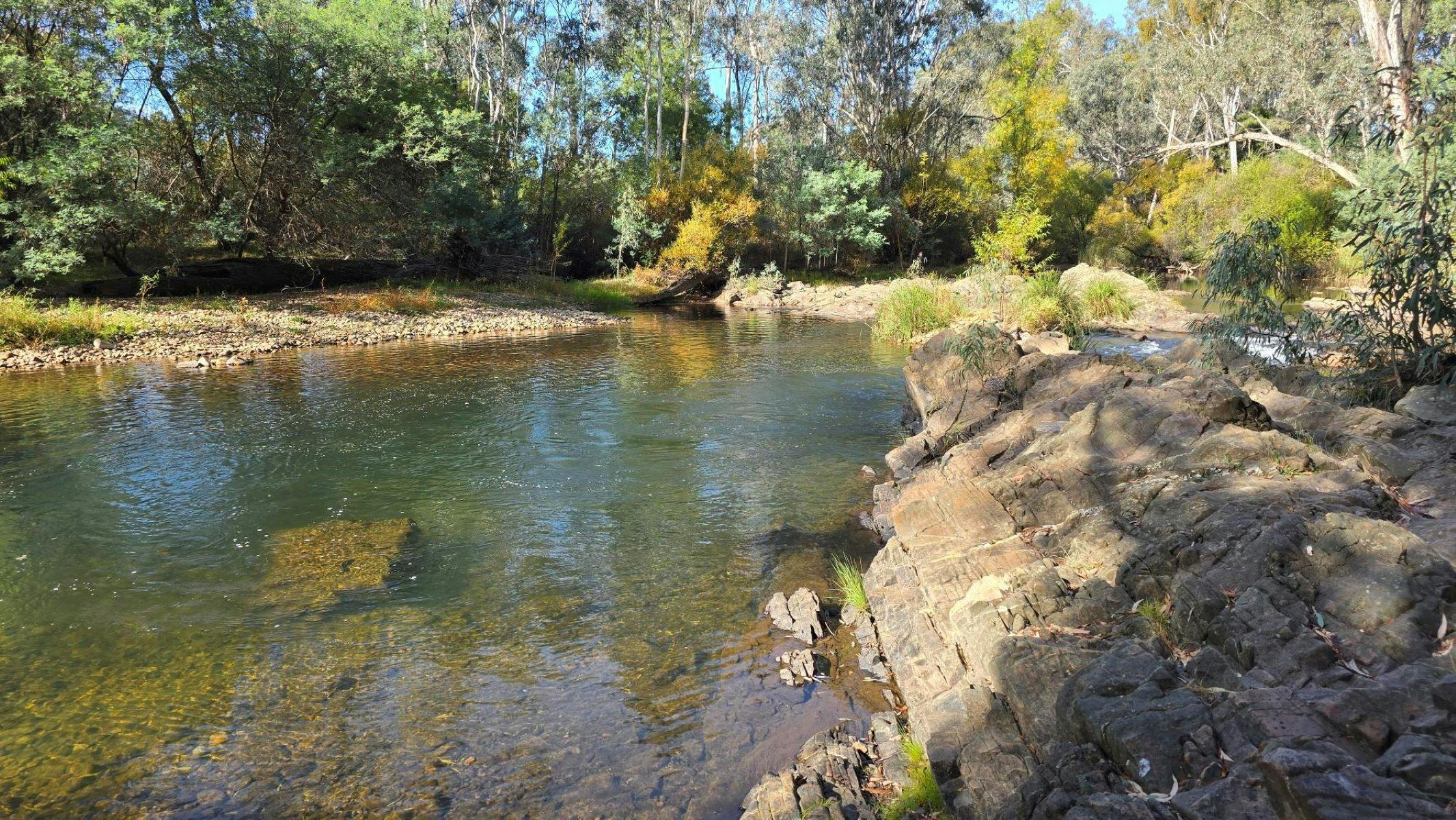 King river at Edi Cutting Reserve