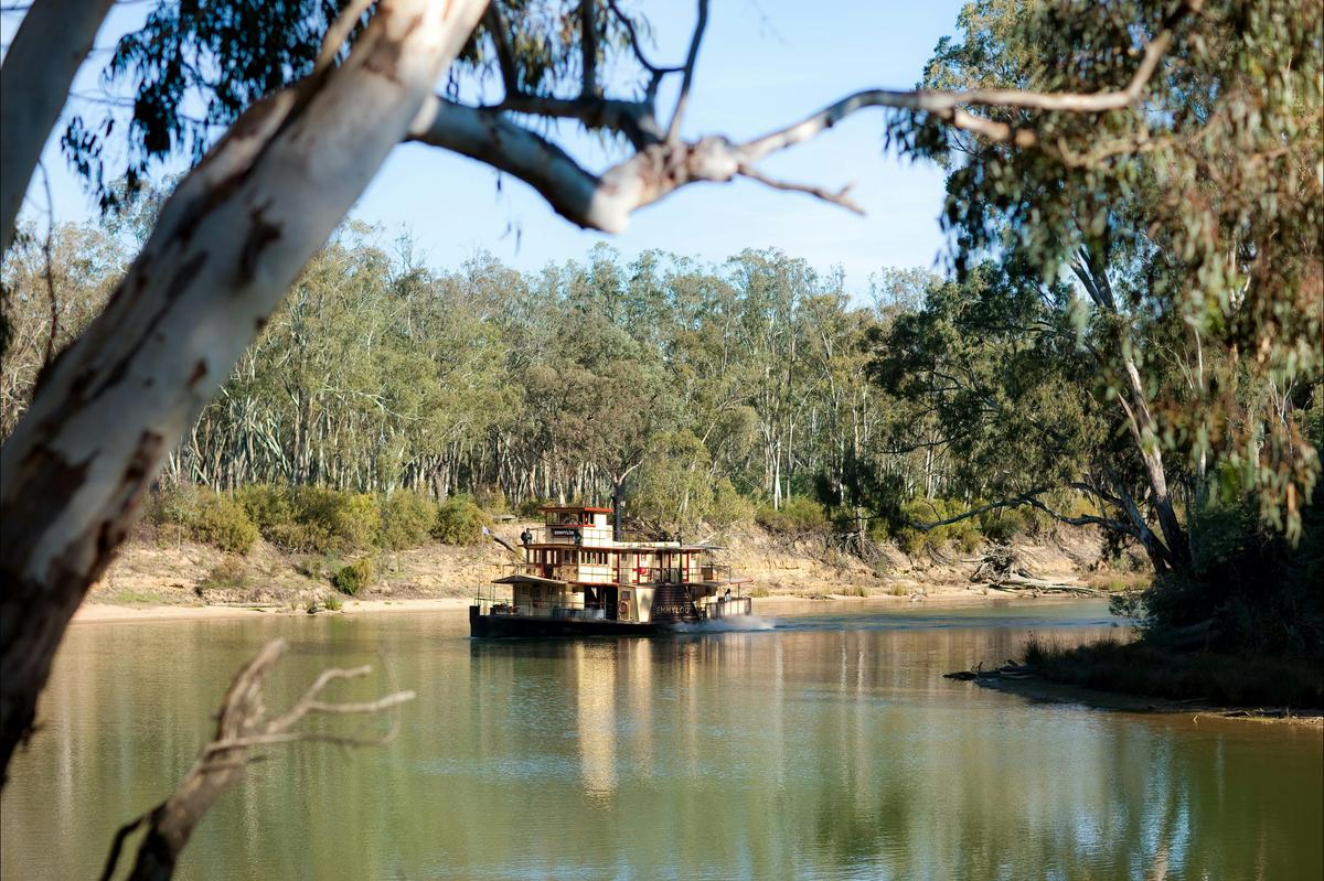 Explore the mighty Murray River on a paddlesteamer