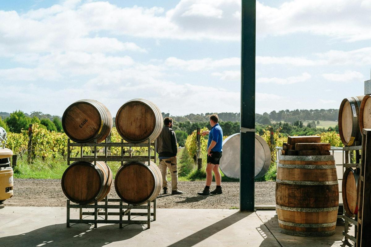 Boutique, family owned vineyards