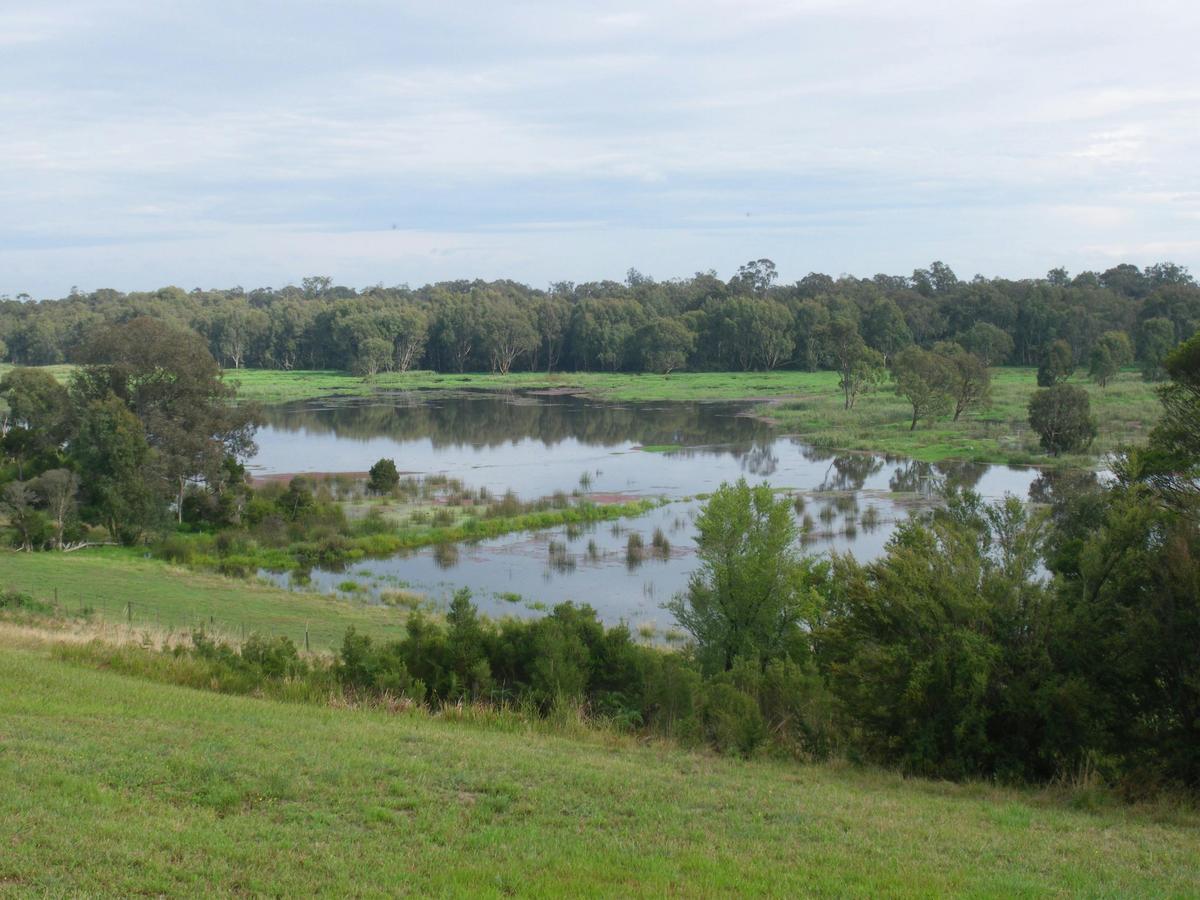View from cottages