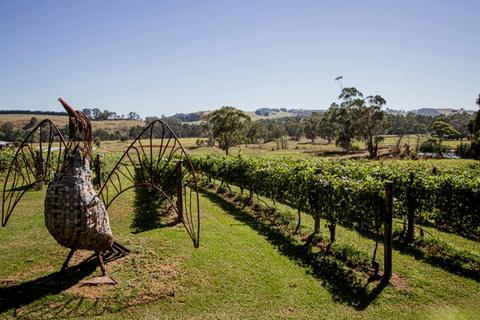 Gippsland Wine Company