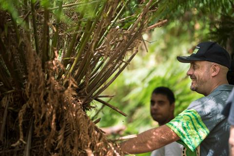 Endeavour Fern Gully