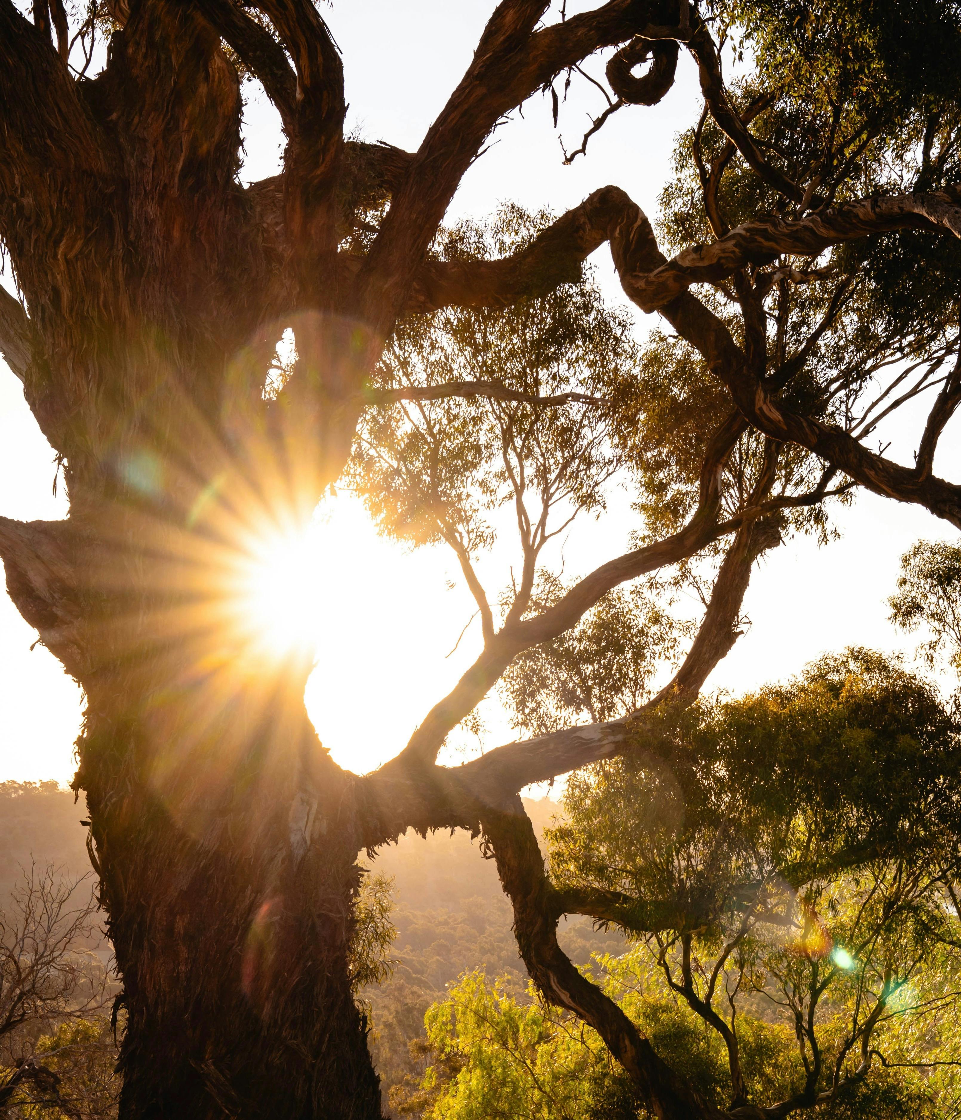 Stunning sunsets across the valley, viewed from the deck