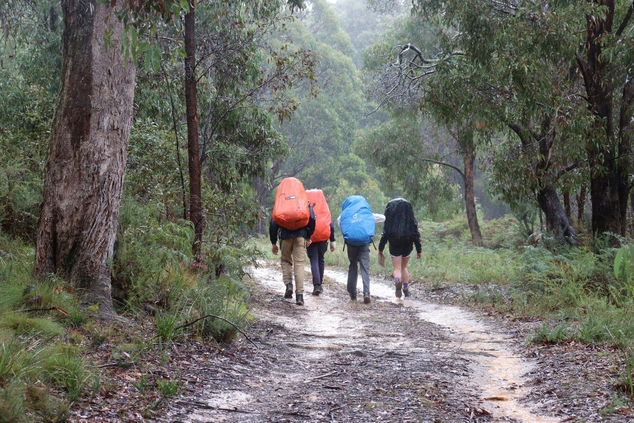 Bushwalking at Gilwell Park
